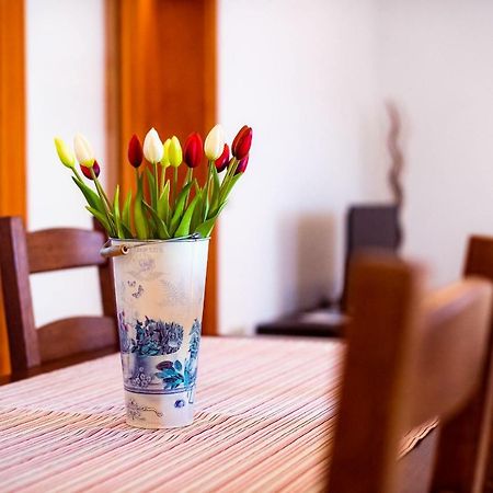 Apartmani Marina 클레크 외부 사진
